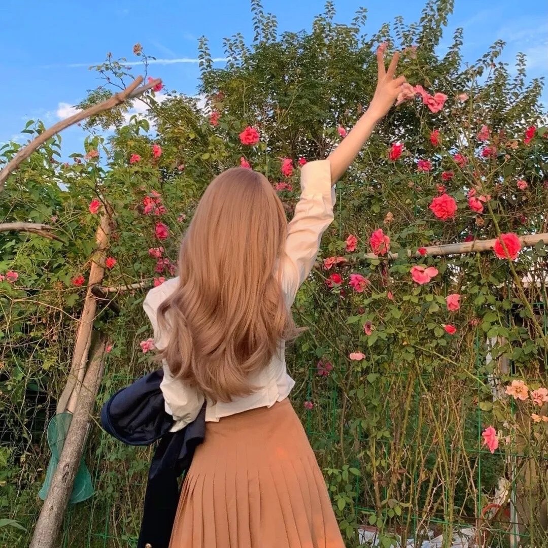 花落花开